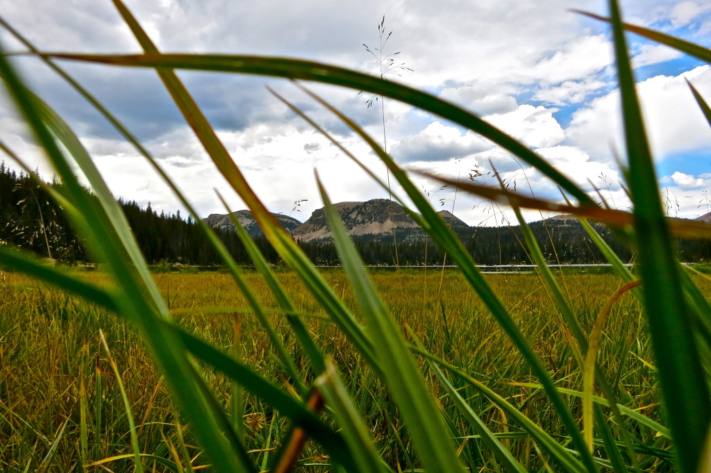 Mirror Lake, Utah, August 2013, taken by moi