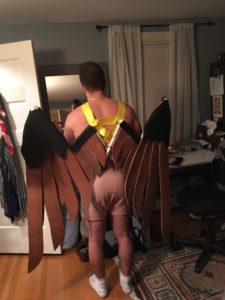 A shot of the wings from the back, including the harness' braces
